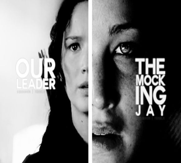 1O1 days | O9.O8.2O14