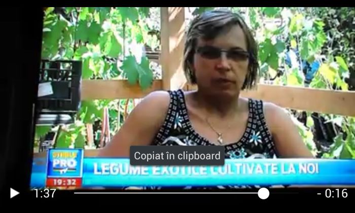 097 - Ab APARITIA MEA LA PRO TV - -august 2014