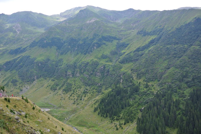 DSC_1009 - Transfagarasan