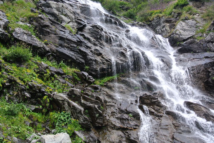 DSC_1011 - Transfagarasan