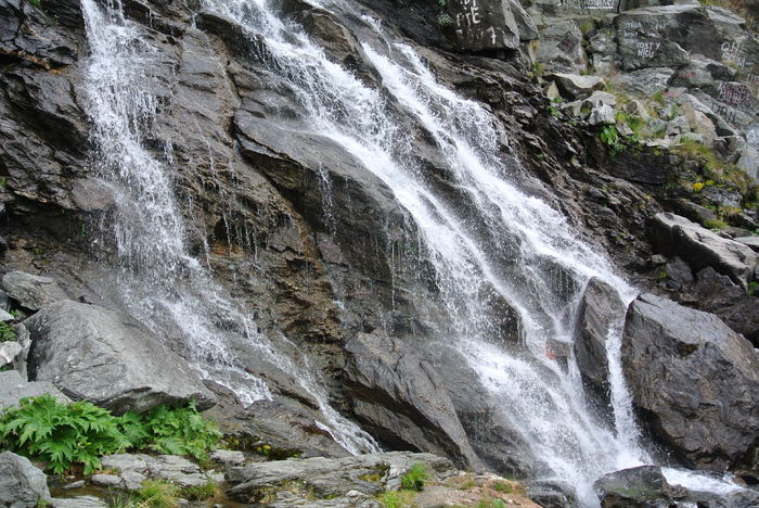 DSC_1013 - Transfagarasan