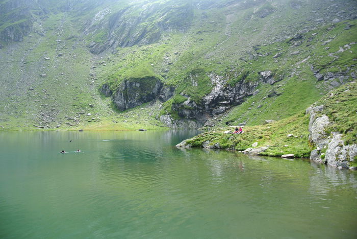 DSC_1037 - Transfagarasan