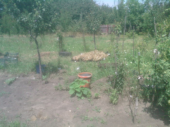 de toate - Productie 2014
