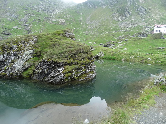 DSC01492 - Transfagarasan