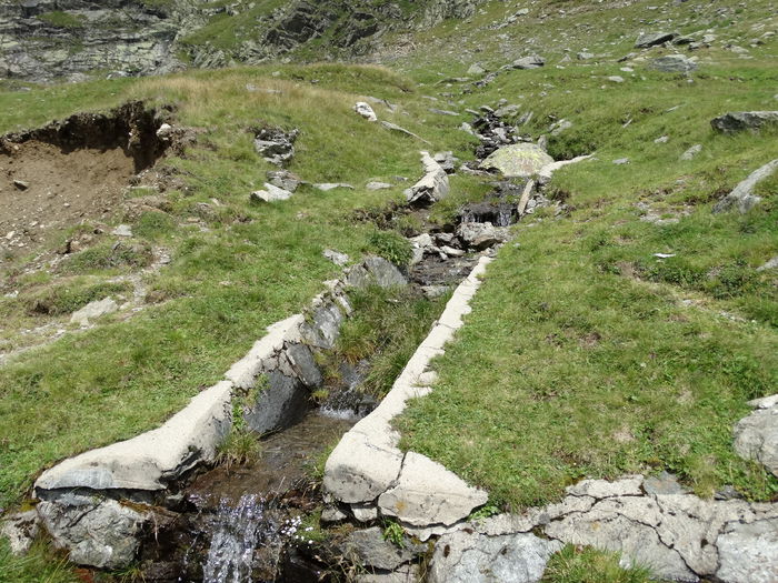 DSC01500 - Transfagarasan