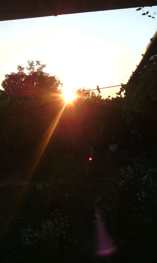 IMG_20140803_202527