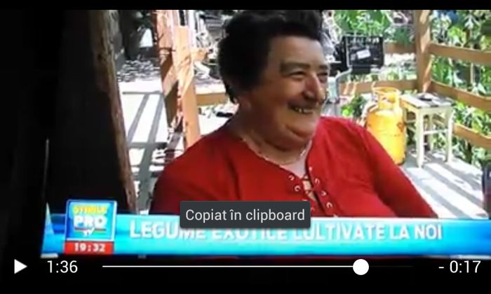 096 - APARITIA LA PRO TV