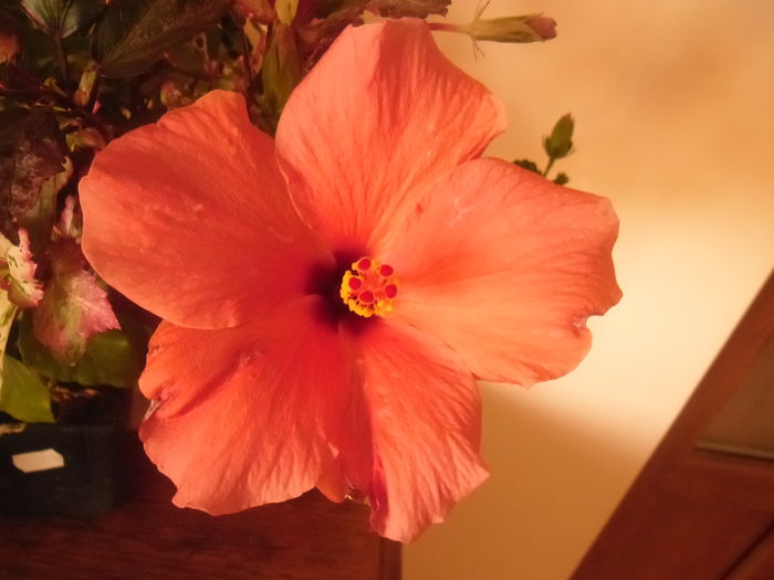 027