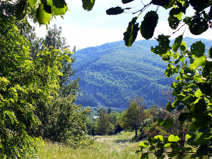 Vedere de la Chelaritza - Dealurile Buzaului