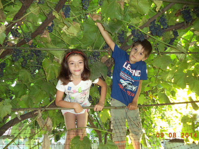 DSC01797 - FAMILIA MEA