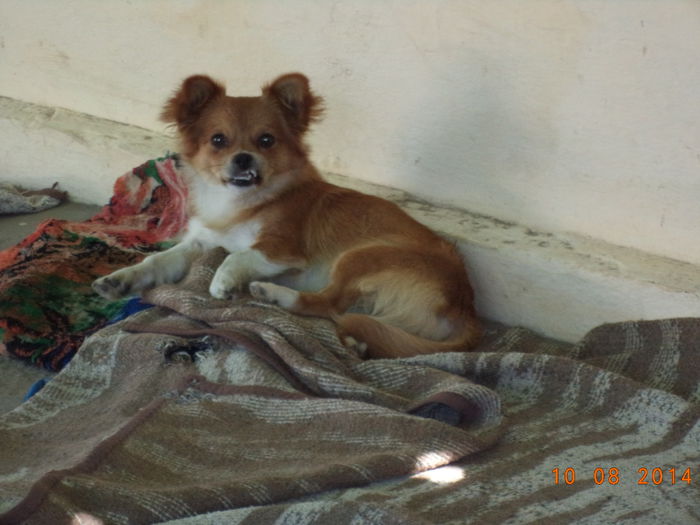 DSC01807