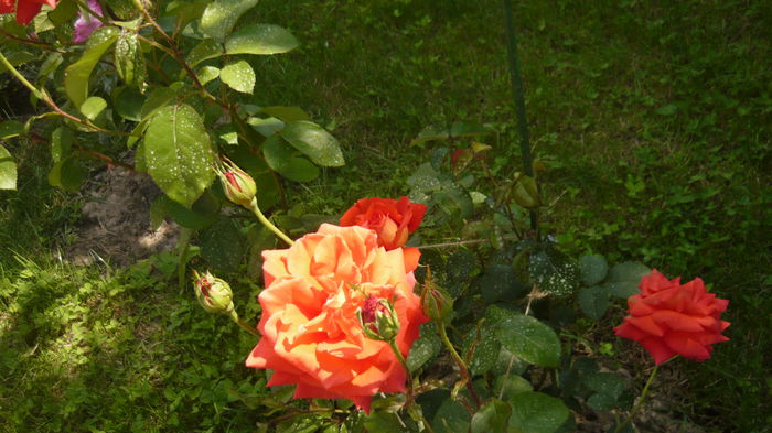 037