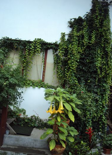 DSC01554