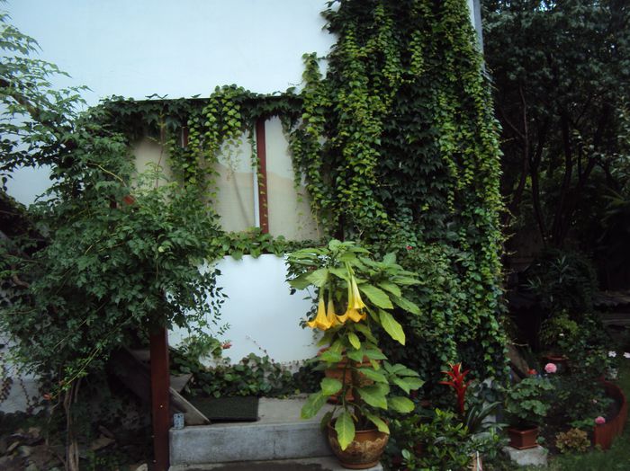 DSC01555