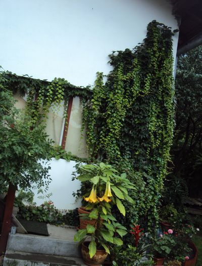 DSC01556