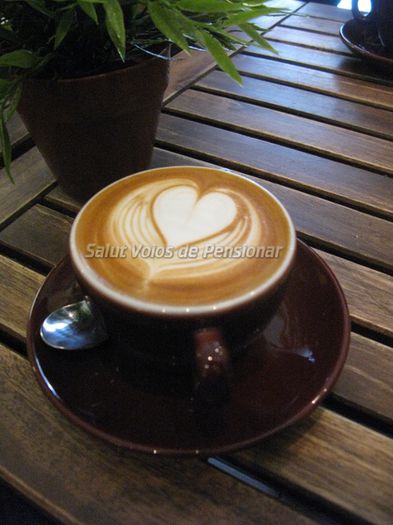 cafea; www.svdp.yes-da.com
