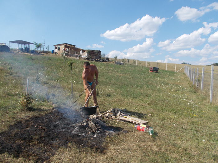 002 - 0  00 ASOCIATIA CRESCATORILOR DE PASARI SI ANIMALE CU BLANA  SOMESUL DEJ