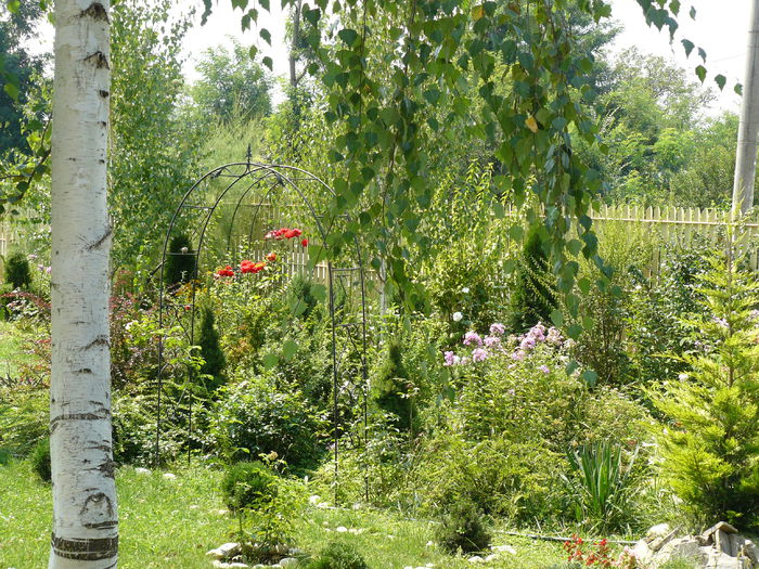 11 august - Gradina rozelor_2014