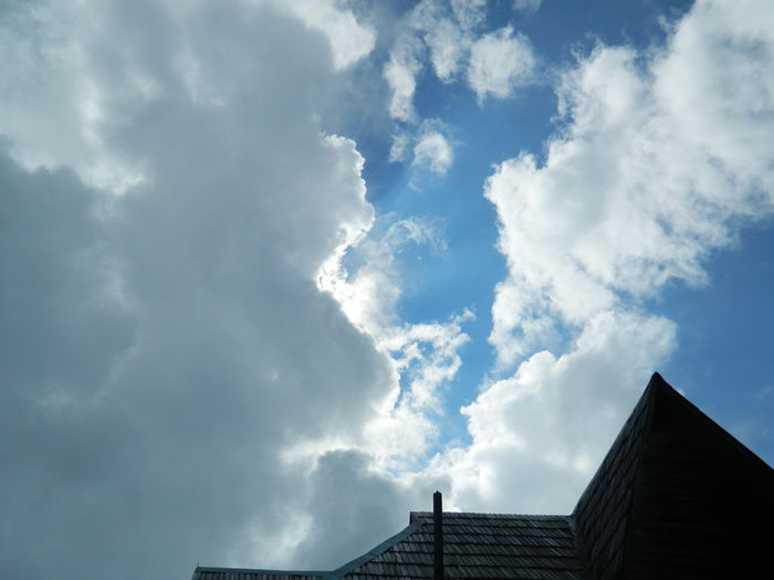 DSCN8926