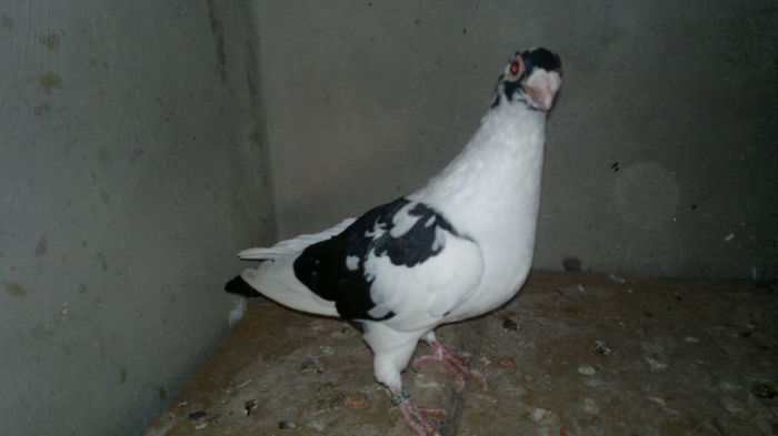 2014-07-28-3843 - pui 2012