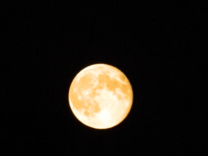 DSCN7036 - LUNA_11_AUGUST_2014