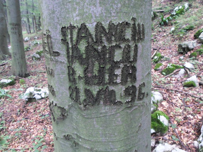 semne de ”civilizatie avansata”