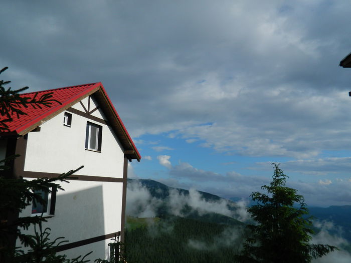 DSCN8959