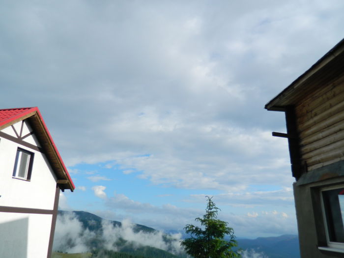 DSCN8960