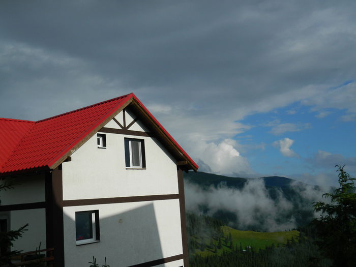 DSCN8964