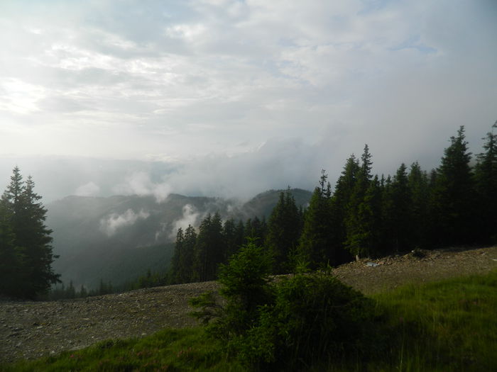DSCN8985