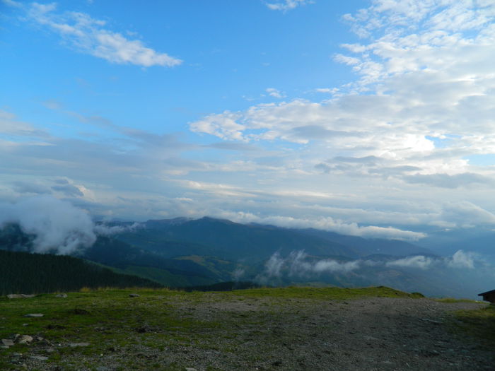 DSCN8995