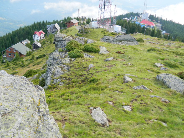 DSCN9010