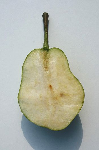 para pletos in sectiune