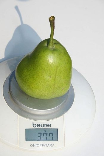 para pletos la cantar 377 grame