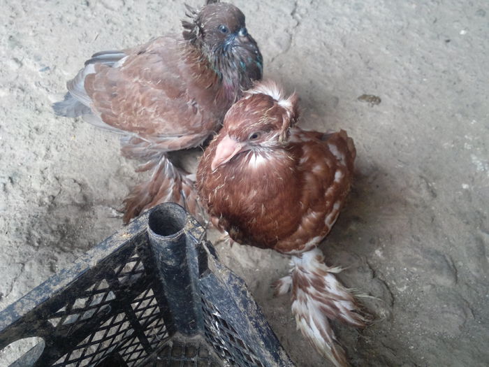 IMG_20140812_131257415