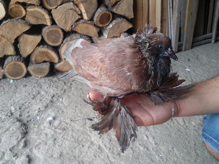 IMG_20140812_131231322