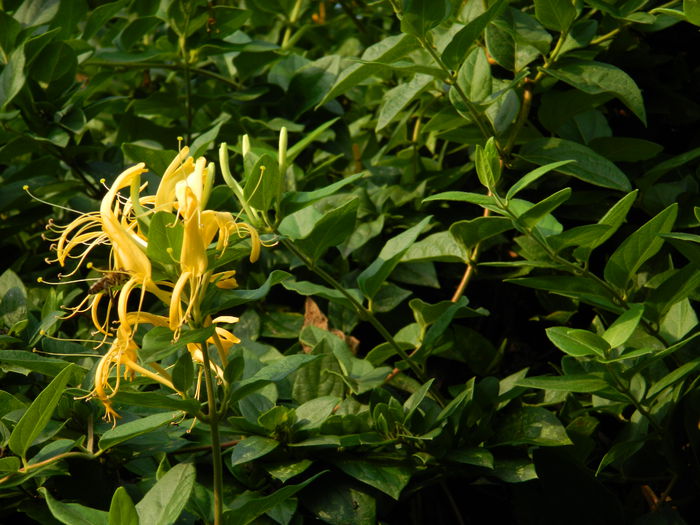 DSCN0396 - AUGUST_2014