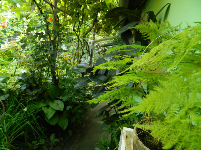 DSCN0427 - AUGUST_2014