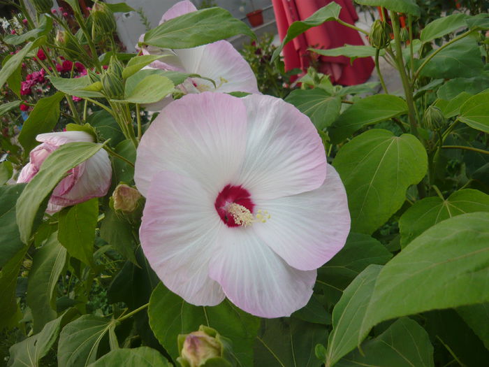 075