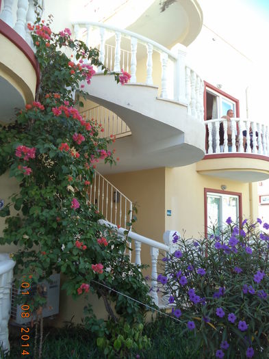 DSC01904