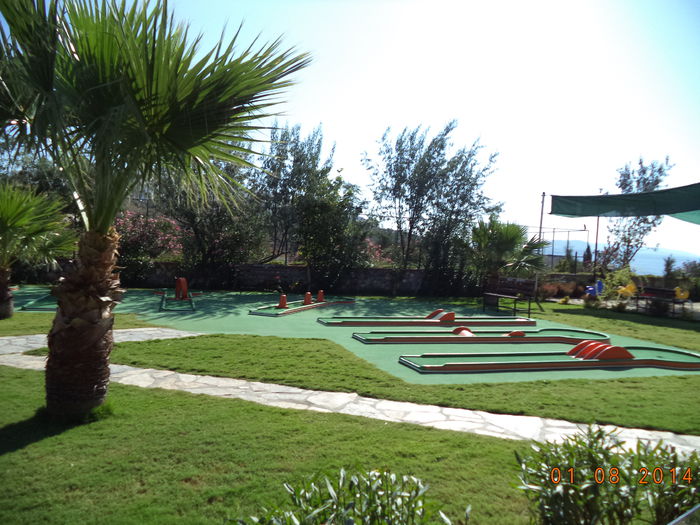 DSC01920