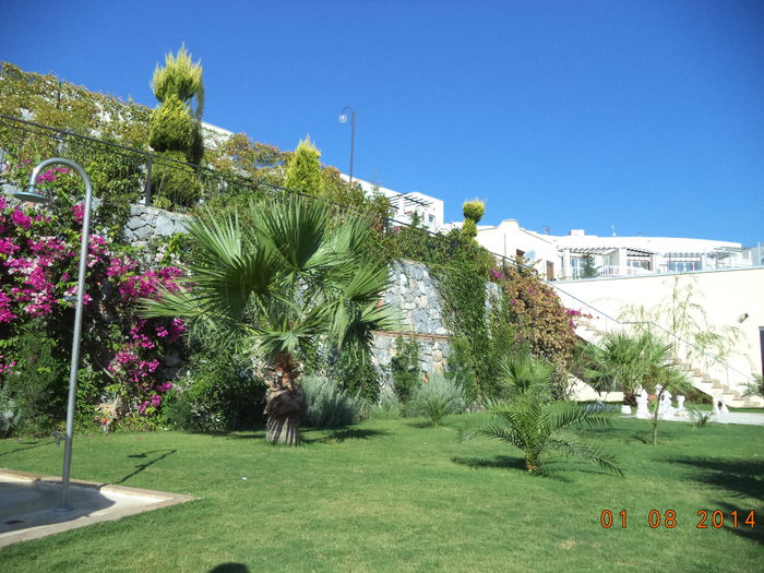 DSC01933 - 2014 TURCIA BODRUM