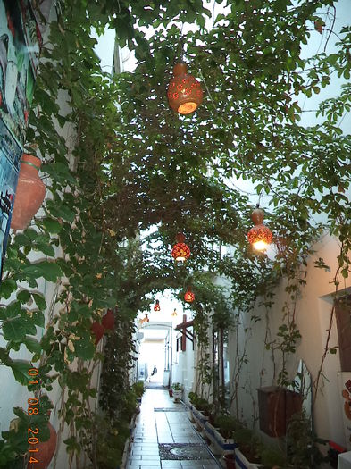 DSC02123 - 2014 TURCIA BODRUM