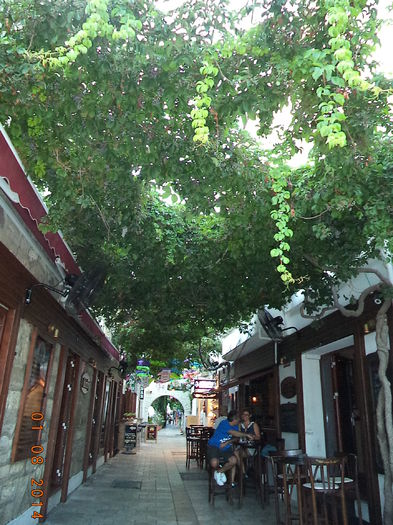 DSC02130 - 2014 TURCIA BODRUM