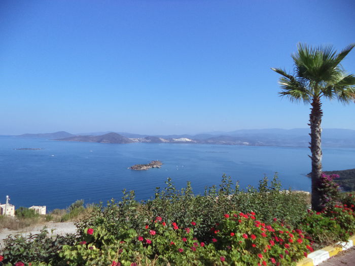 DSC02184 - 2014 TURCIA BODRUM