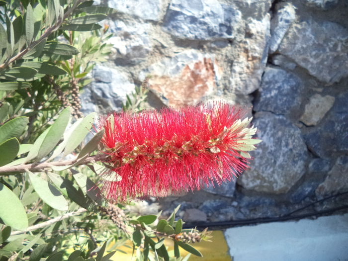 DSC02312 - 2014 TURCIA BODRUM