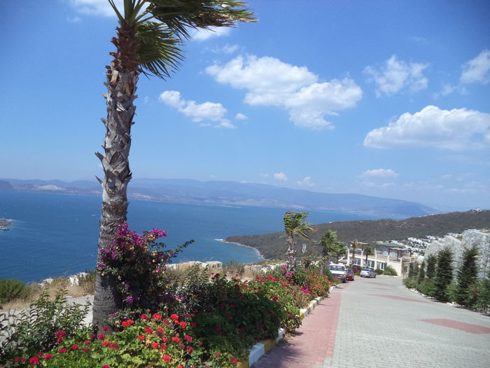 DSC02318 - 2014 TURCIA BODRUM