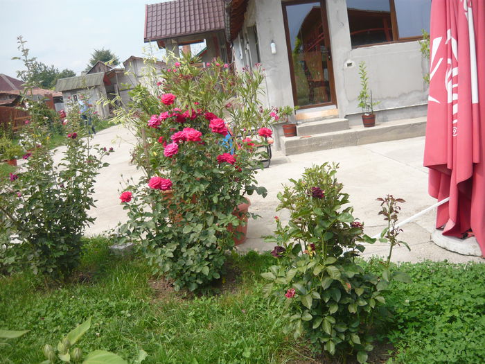 135 - 2014 vara