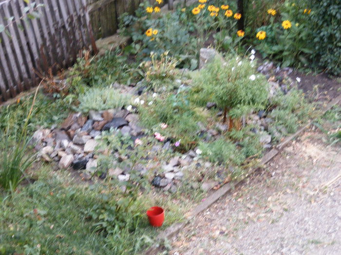 DSCF0162 - Vara 2014-2017