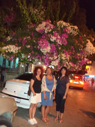 DSC02505 - 2014 TURCIA BODRUM